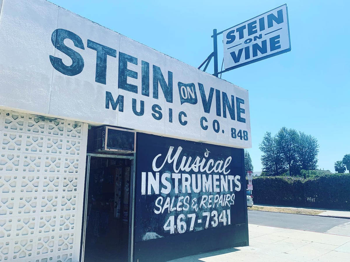 Musings-SteinonVine1