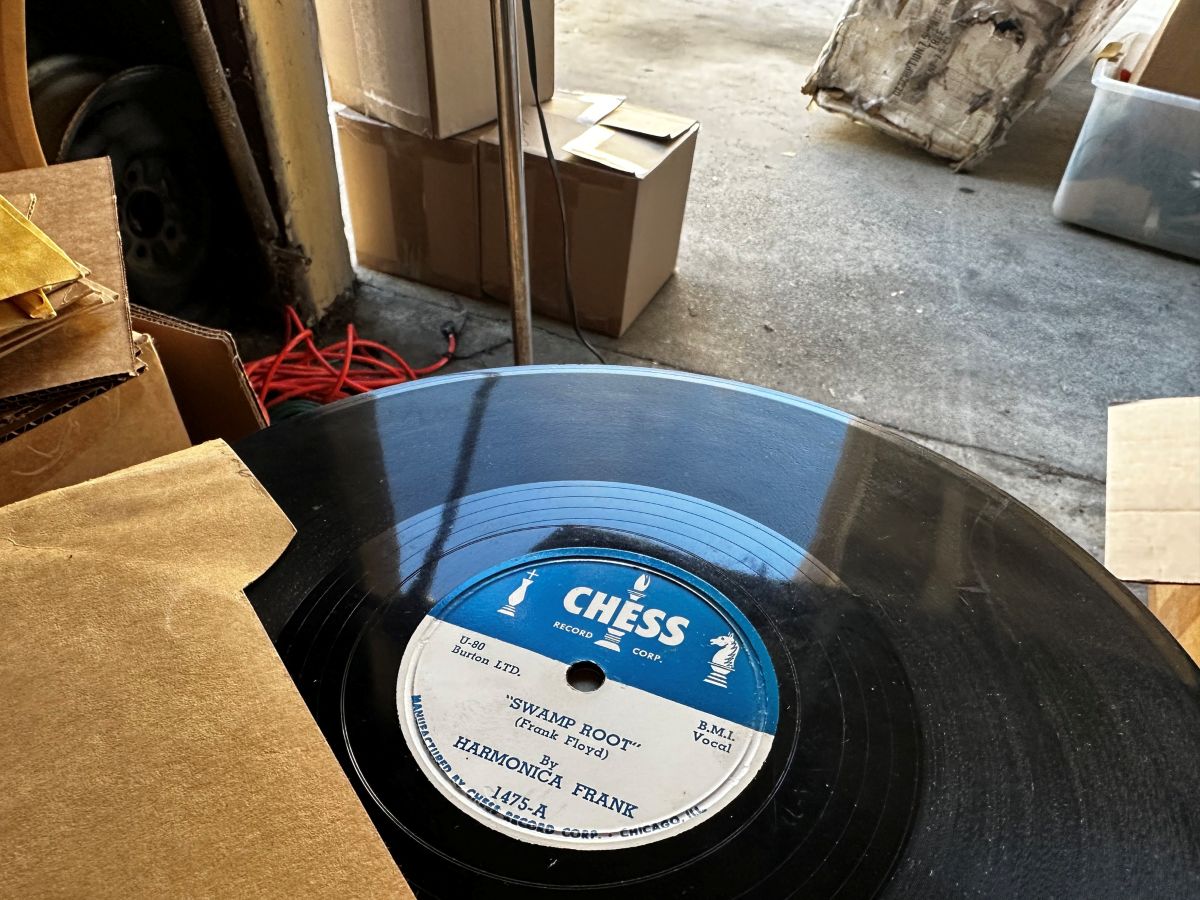 Musings-HarmonicaFrankSwampRoot1